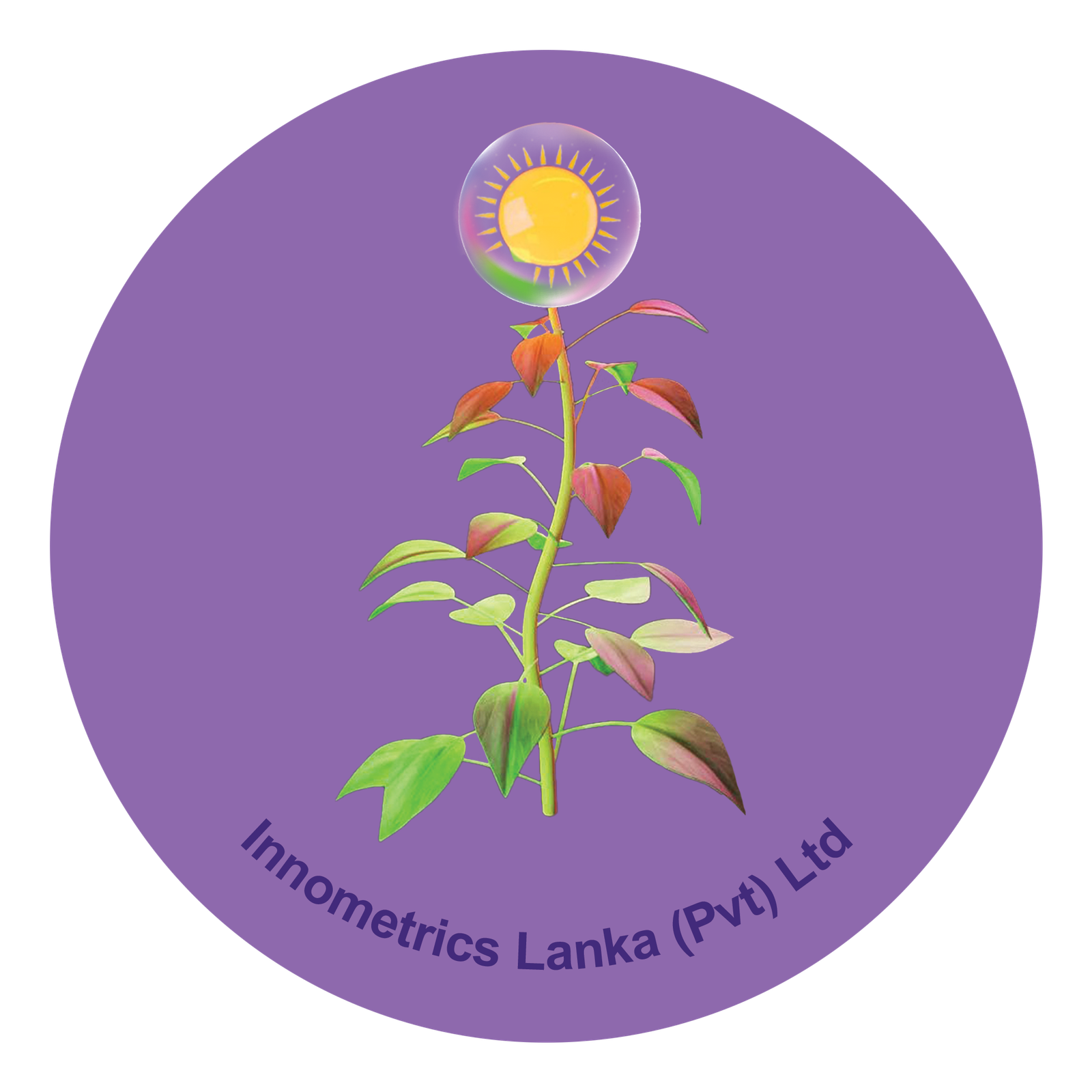 Innometrics Lanka (PVT) LTD